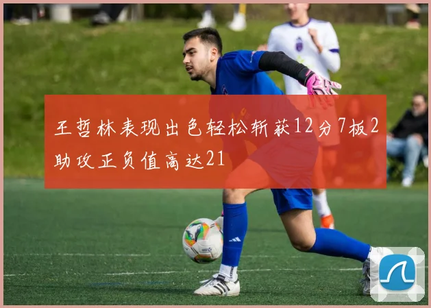 王哲林表现出色轻松斩获12分7板2助攻正负值高达21